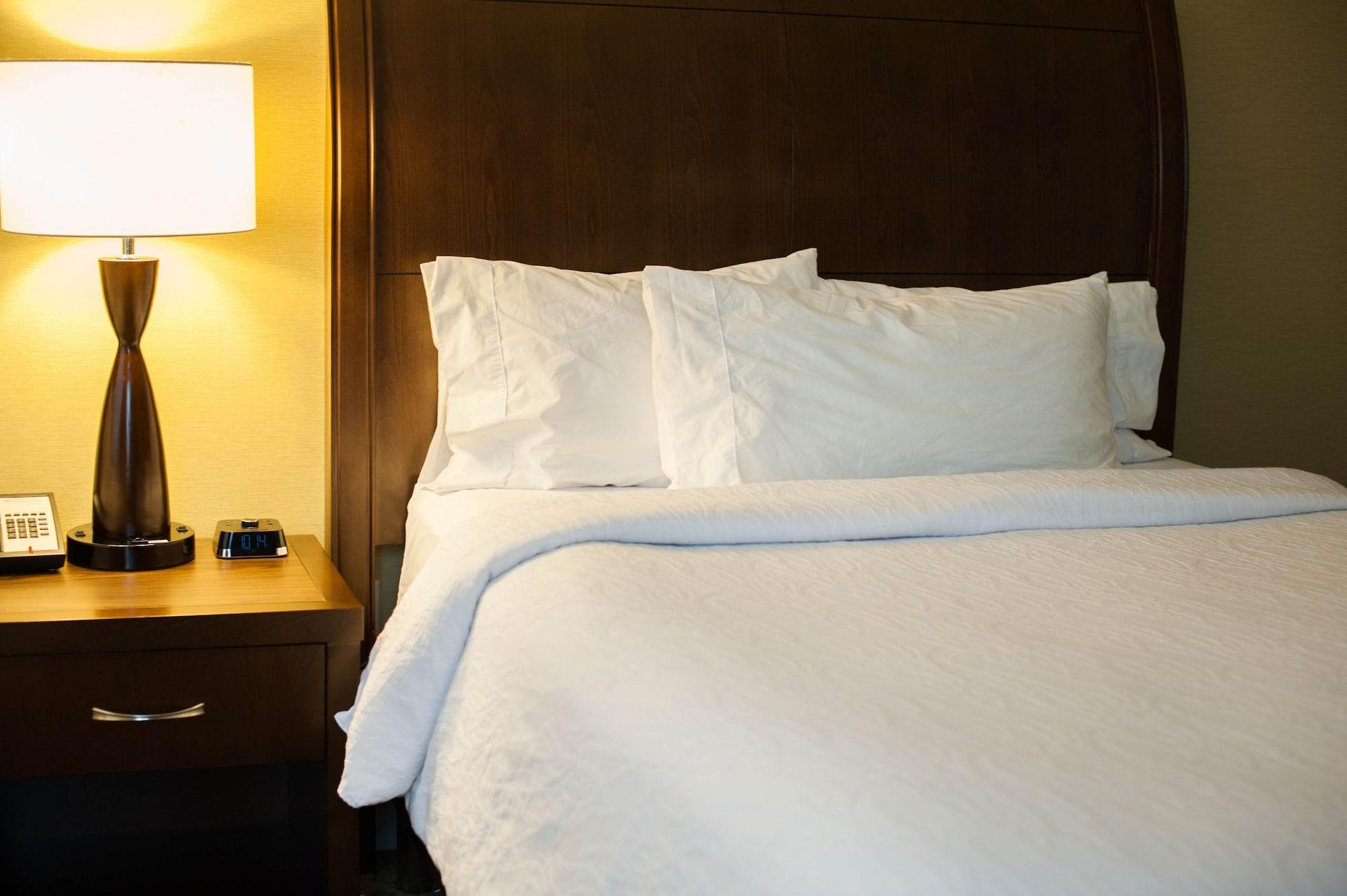 The Hilton Garden Inn Buffalo-Downtown Extérieur photo